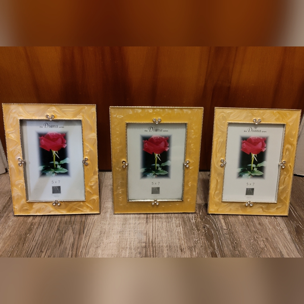 NEW!! 3- Frames (The Diana Series) 5"x7"